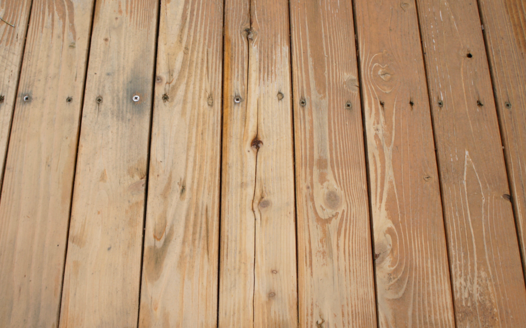 What Is Dry Rot And How Does It Affect Your Deck 
